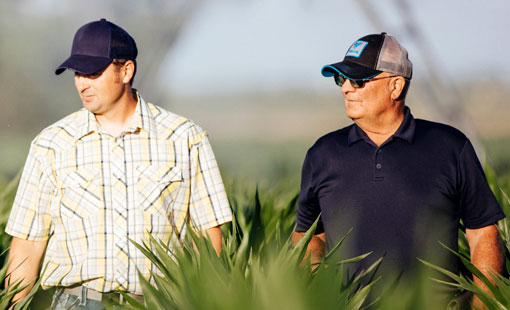 Two men standing in a field. Two men standing in a field.