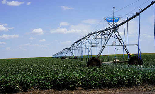 Irrigation system watering crops. Irrigation system watering crops.