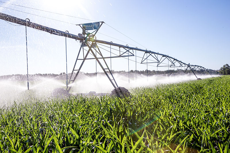 Valley 7000 Series Center Pivot irrigating a field. Valley 7000 Series Center Pivot irrigating a field.